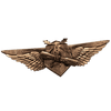 Recon Basic