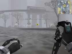 2142.jpg