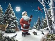 Santa claus