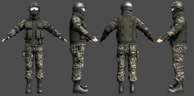 File:PLR Infantry 4.jpg