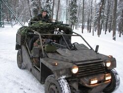 Vdv buggy.jpg