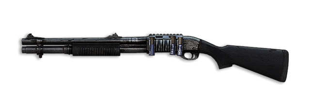 File:3002.png