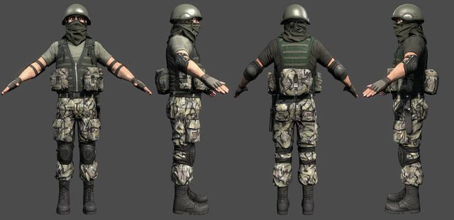 File:PLR Infantry 3.jpg