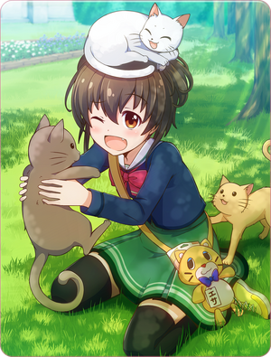 Card 110017.png