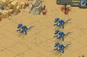 Raptors 8b