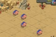 Boars 23a