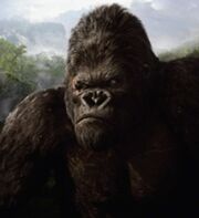 King kong