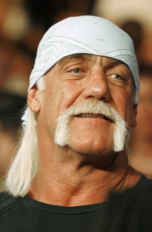 File:Hulk Hogan.jpg
