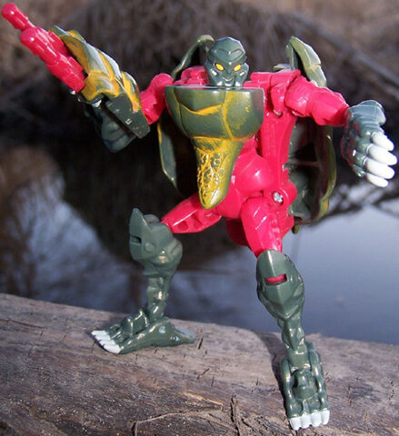 File:Snapper1a jpg.jpg
