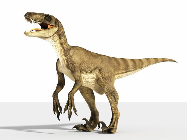 File:Velociraptor Vue 3 0 img.jpg