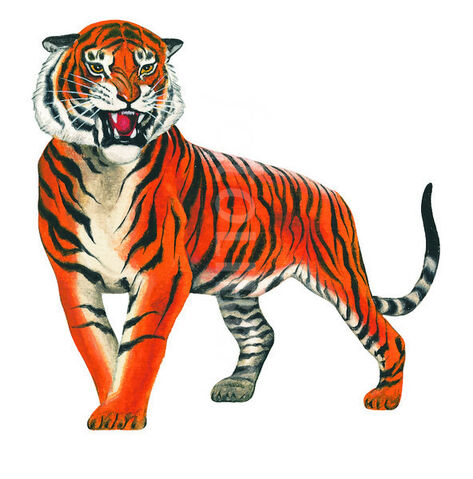 File:41570-bengal-tiger-illustration.jpeg