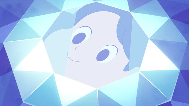 File:Bee's reflection in Dadbox.jpg