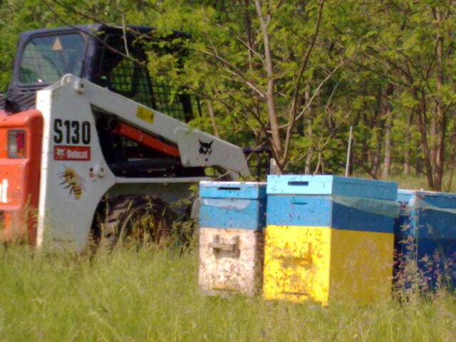 Fișier:15052009035.jpg