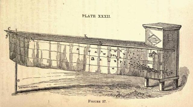 Fișier:Harbison37.jpg