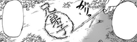Saotome's Pupil Diagram