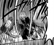 Nasu-Raging Storm.png