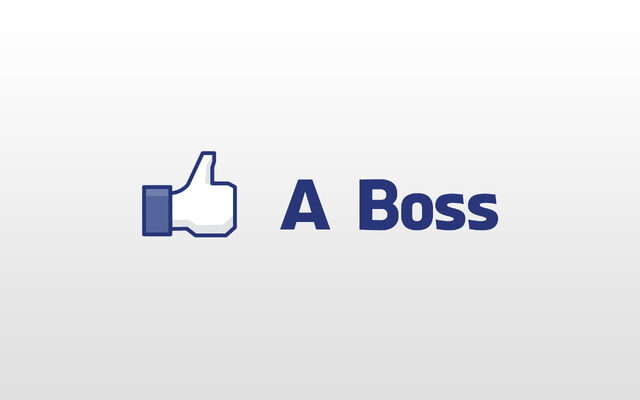 File:Like A Boss.jpg