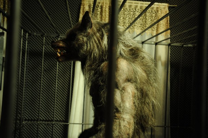 Werewolf (BBC) | Being Human Wiki | FANDOM powered by Wikia