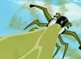 Stinkfly6