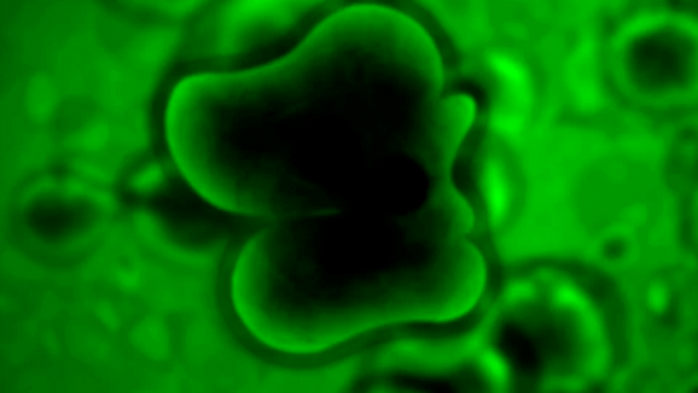 File:ATG (115).png