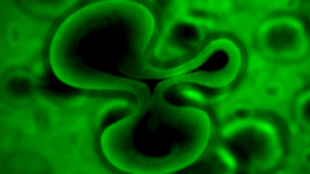 File:SH (259).png