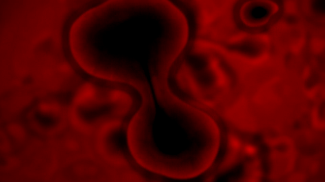 File:TFB1 (314).png