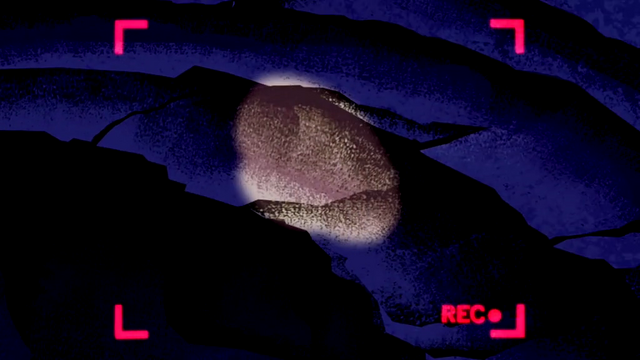 File:TBS (13).png