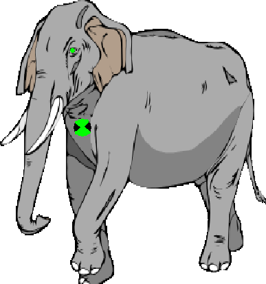 Ficheiro:Gyy.PNG
