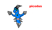 Picodus