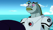 640px-Magister Patelliday 006.png