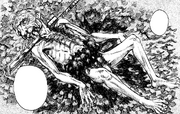 WyaldTrueBody