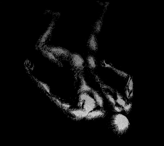 File:GriffithBody.png