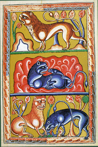 Fichier:84-Oxford 1511 - Leone.jpg