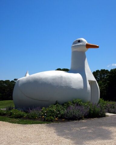 File:Moby Duck.jpg
