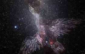 Cygnus