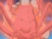 Crab