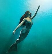 Mermaid1-1-