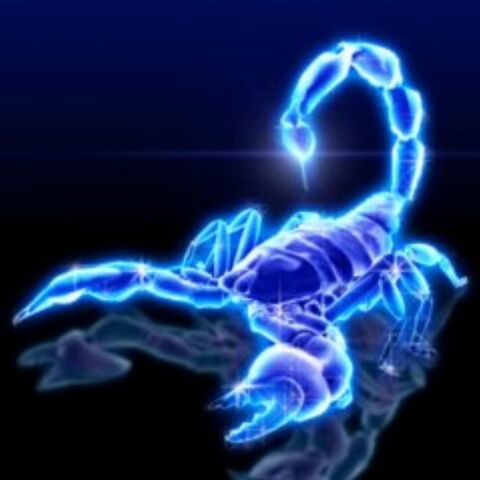 File:Scorpion (1).jpg