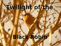Thumbnail for version as of 01:12, September 15, 2013