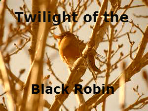 File:Robin3.jpg