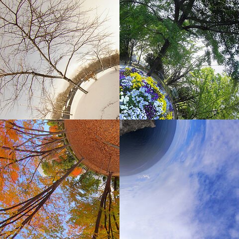 File:Four seasons in Japan.jpg
