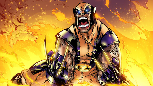 Archivo:Wolverine .jpg