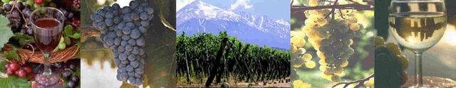 Fichier:Accord mets-vin.jpg