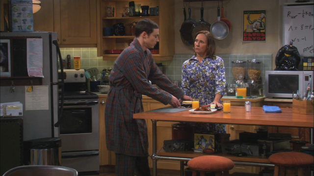 File:TBBT S05E06 The Rhinitis Revelation.png