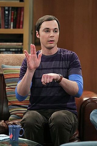 Datei:Sheldon7.jpg