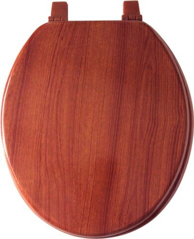 File:Toiletseat.jpg