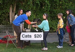 Cats20dollars.jpg
