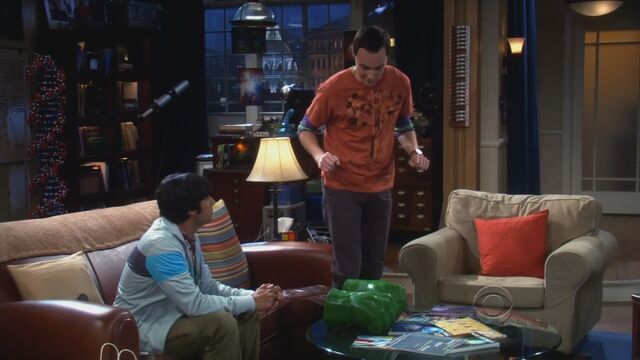 File:The-Big-Bang-Theory-S3-E12-172.jpg