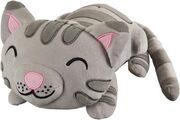 Soft-Kitty.jpg