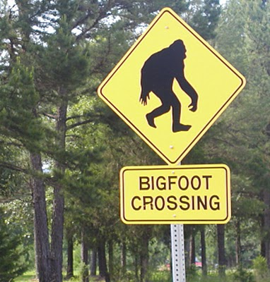 File:Bigfoot Crossing.png